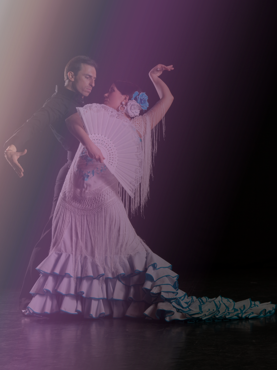 flamenco .png (Copy)