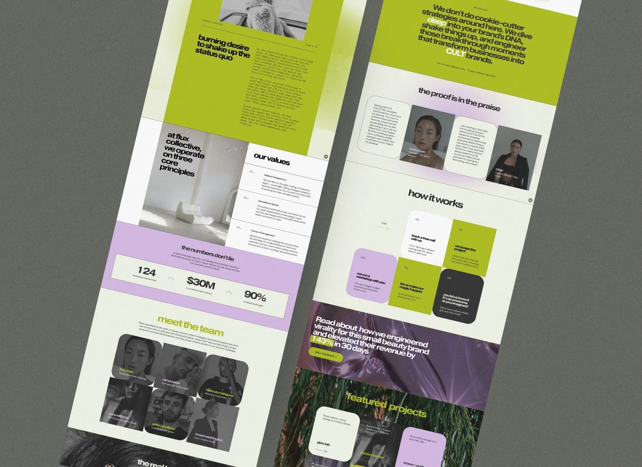 Website layout with sections including mission statement, values, team members, project showcases, and statistics, using a color scheme of green, white, black, and purple.