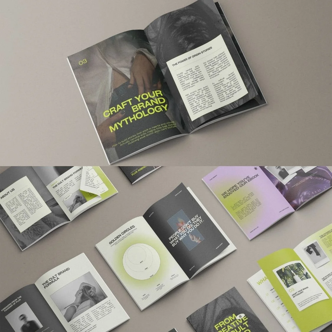 FLX-book-pdp (2).jpg