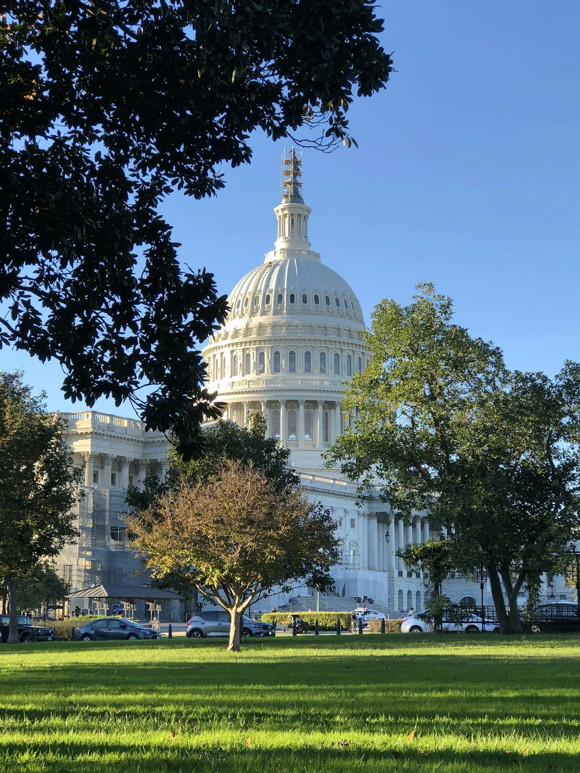 The United States Capitol building with a large white dome, surrounded by trees and a grassy lawn, under a clear blue sky.