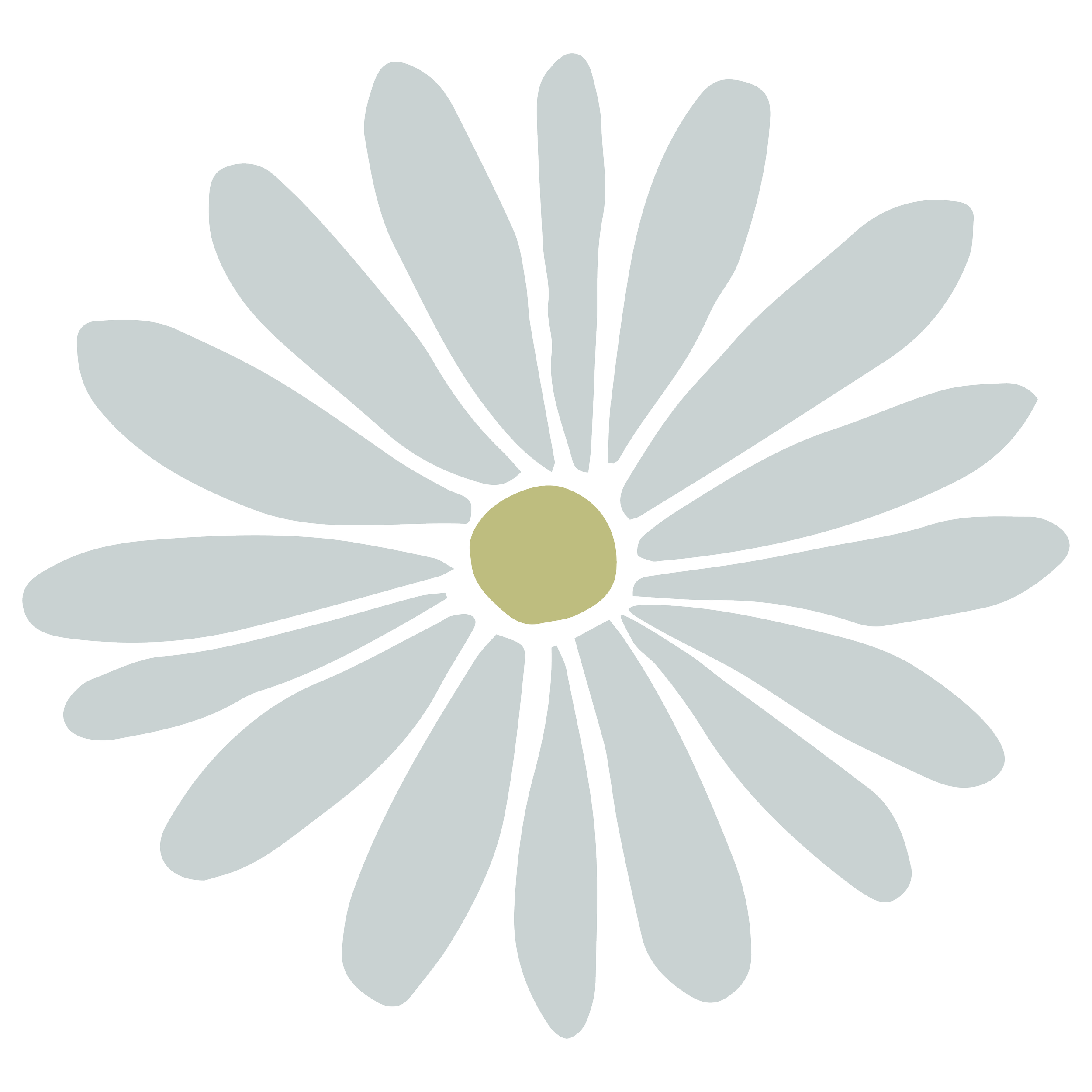 Wildflower Icon_Mist.png