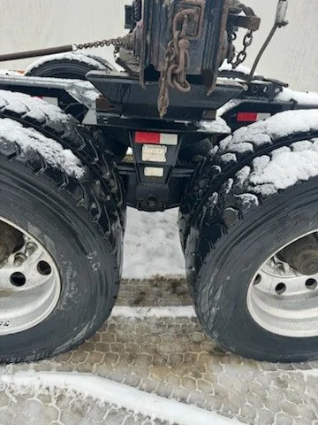 Cheval_Noir 2019 Anser 3.jpg