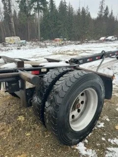 Cheval_Noir 2019 Anser (7).jpg