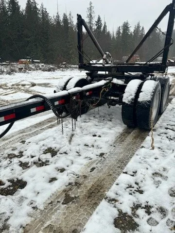 Cheval_Noir 2019 Anser 4.jpg