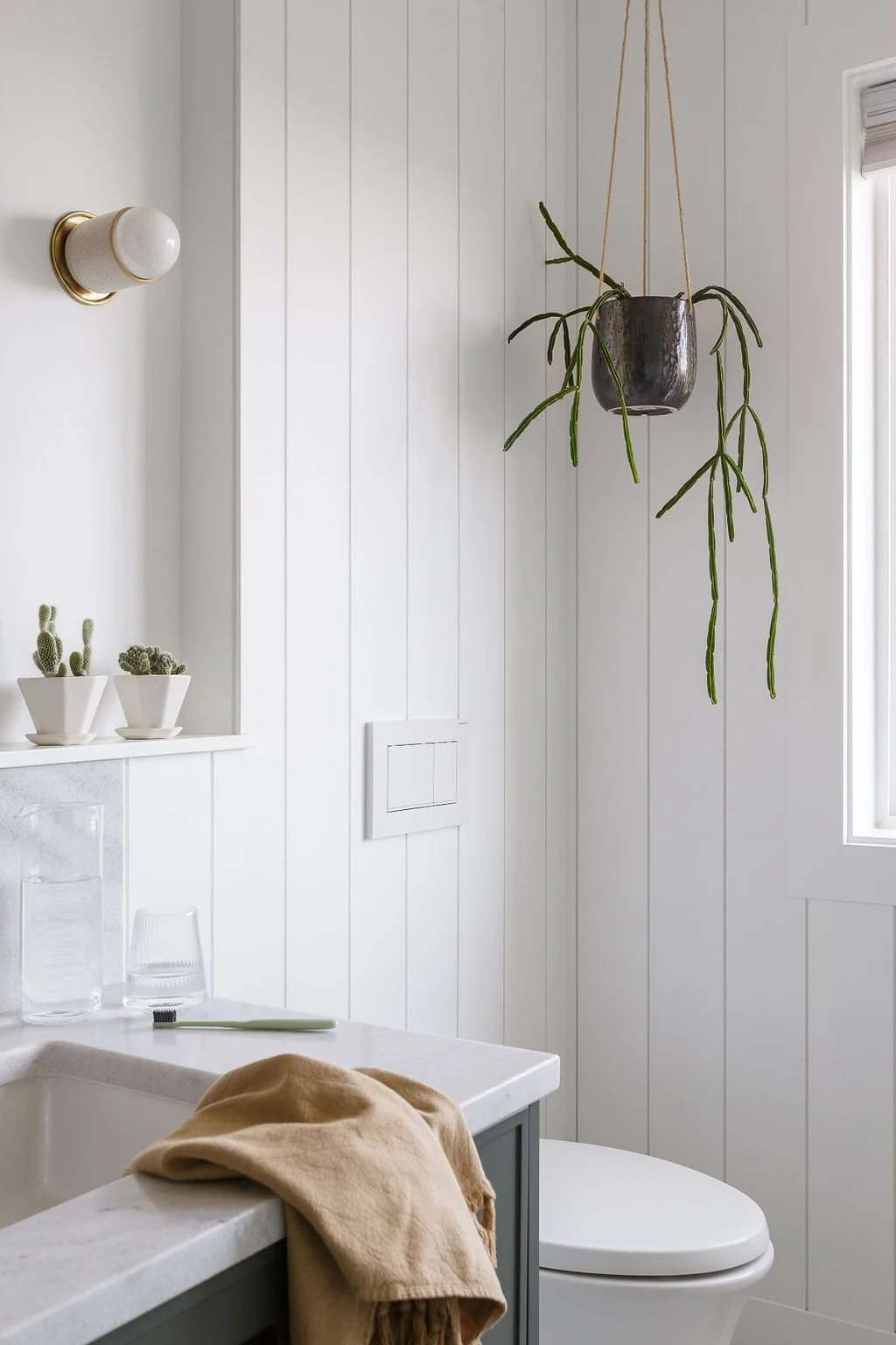 Hanging plant in black planter and draping succulent next to window.