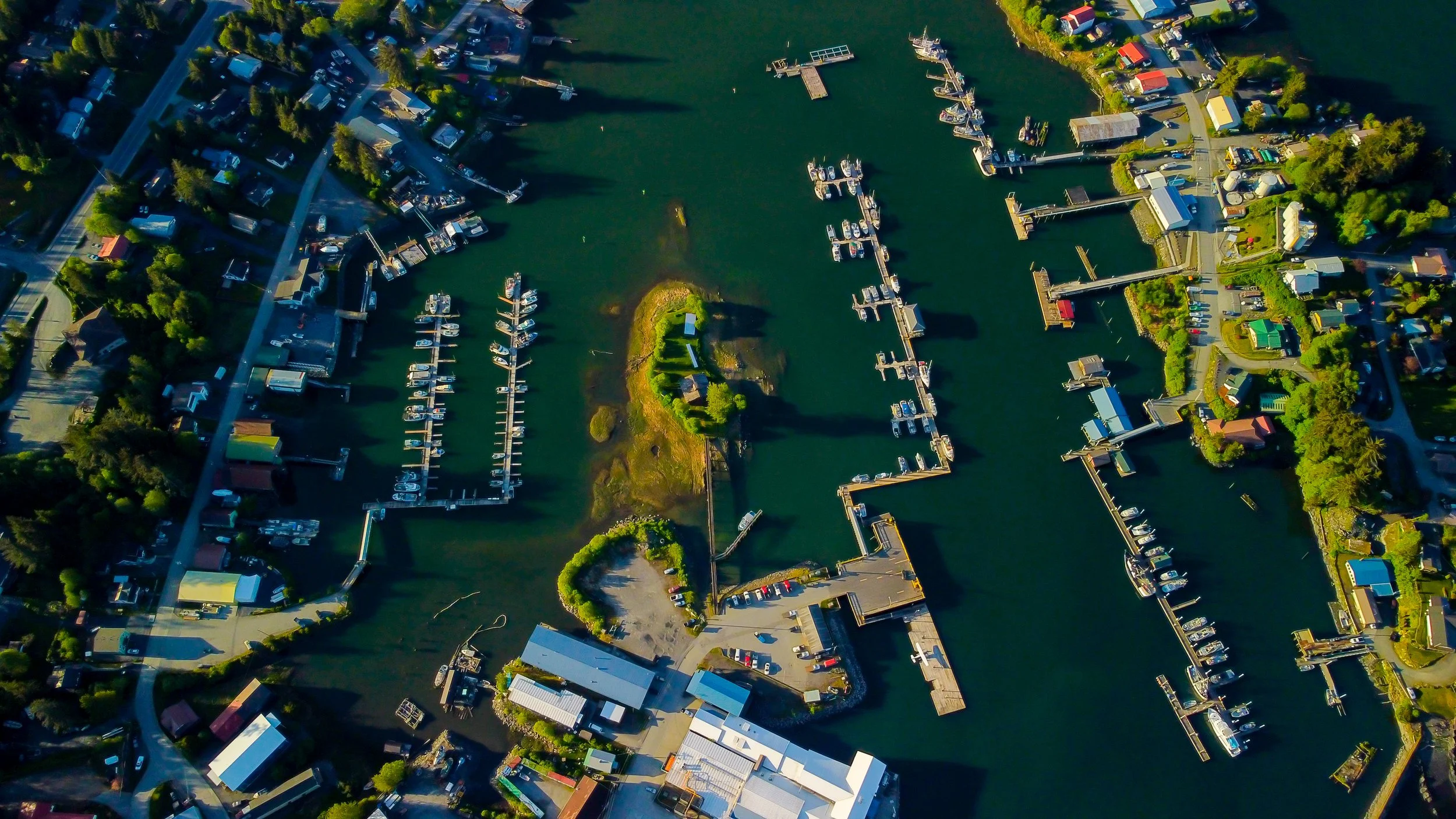 An aerial view of a marina with multiple docks and boats, surrounded by residential buildings and trees.