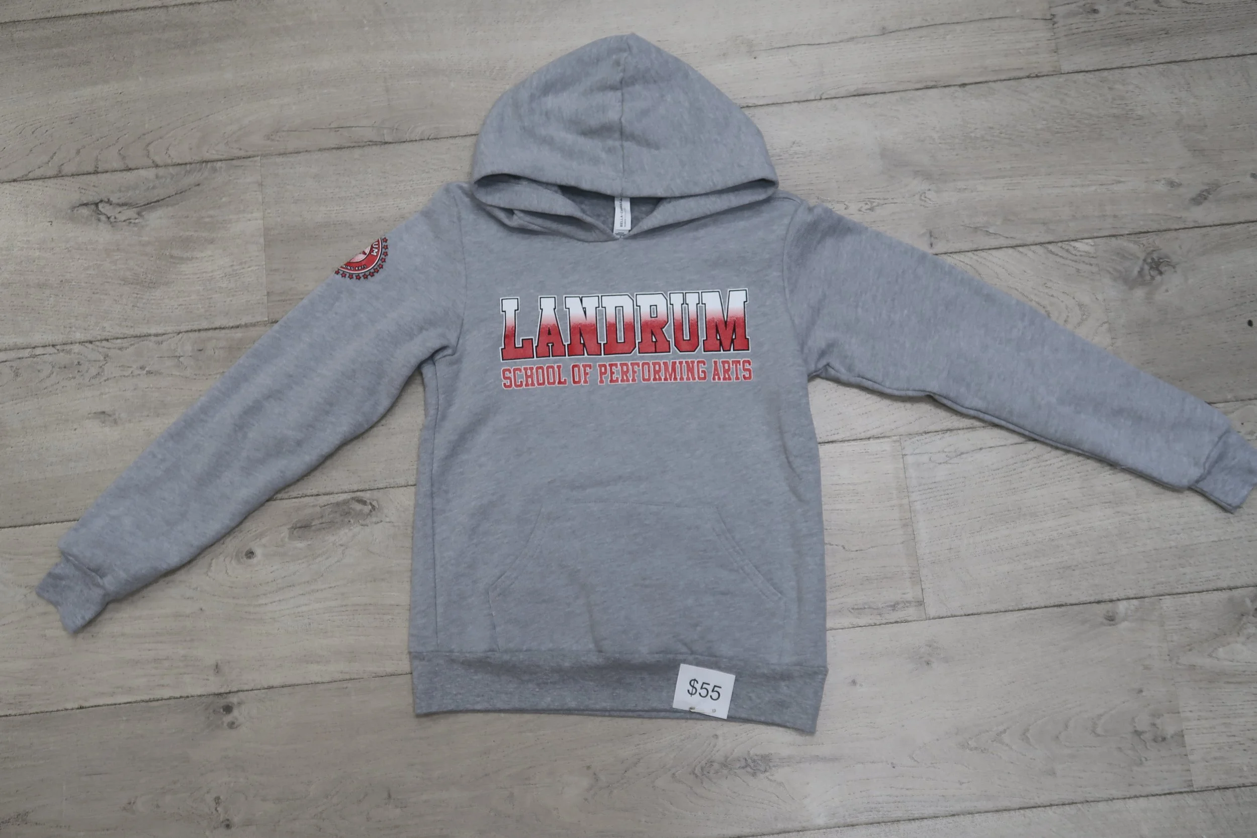 Landrum Grey Hoodie