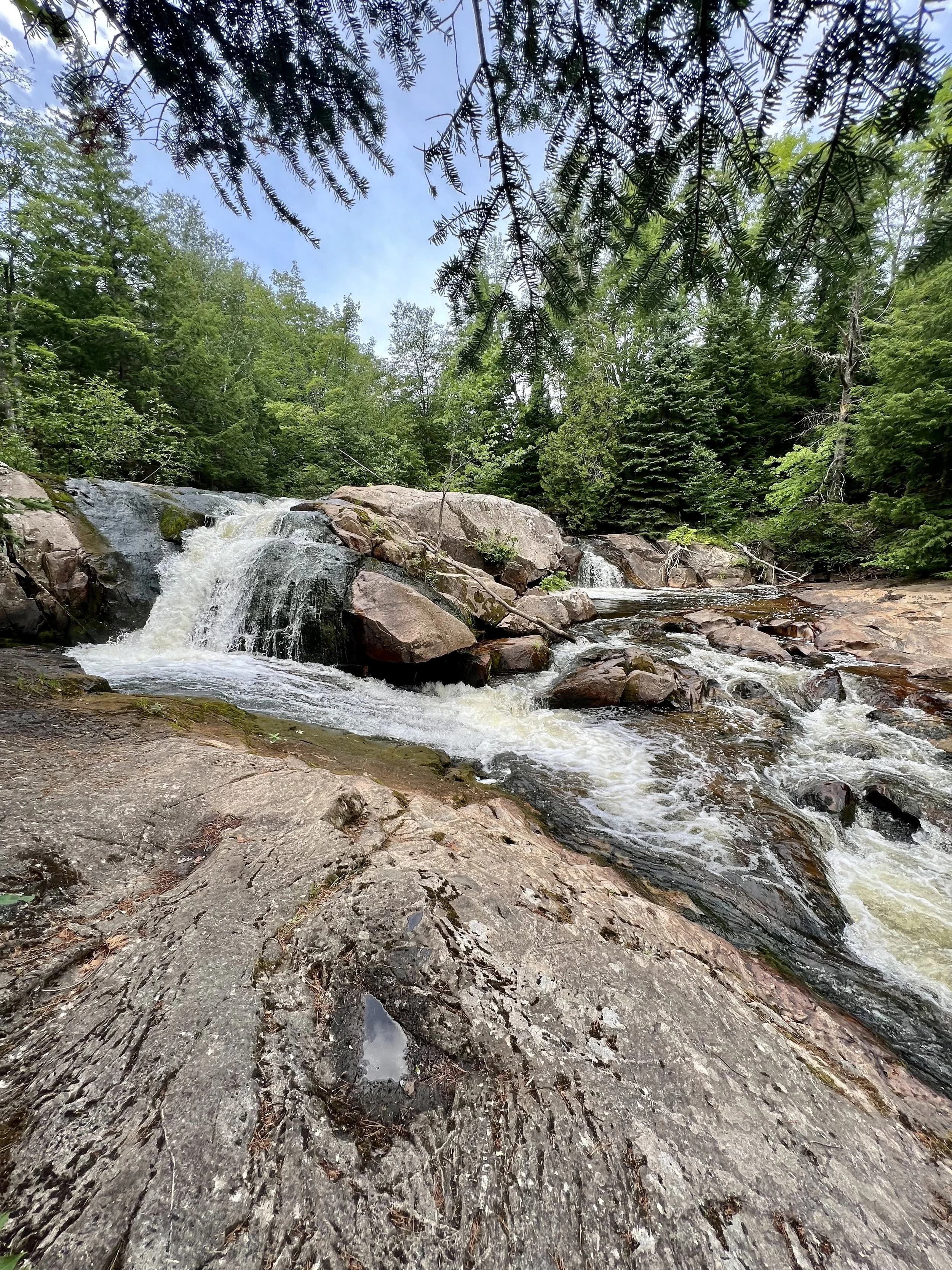 A natural scene featuring a small waterfall flowing over rocks in a forested area with lush green trees and blue sky visible through the branches.