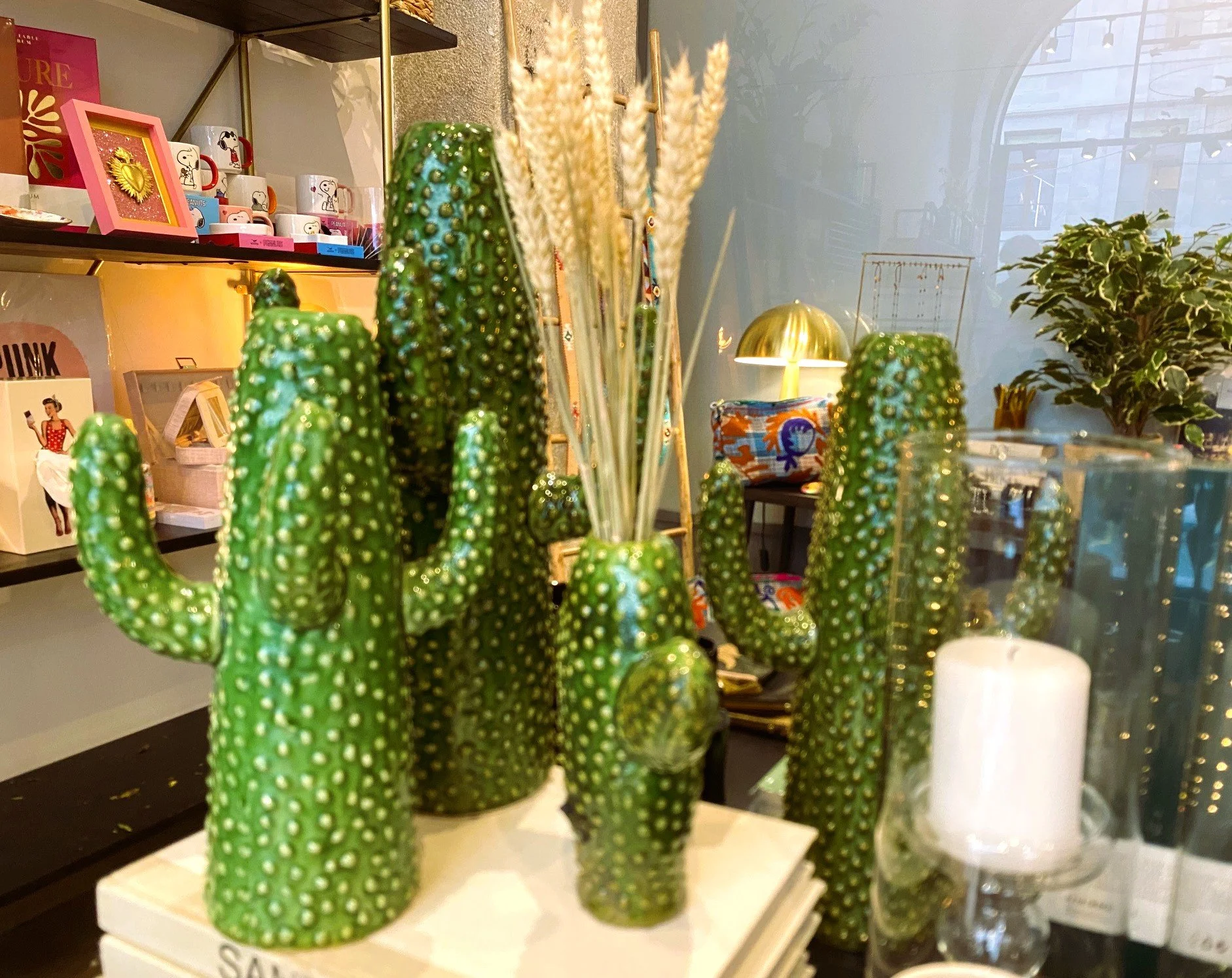 Vases_cactus_chez_George.jpg