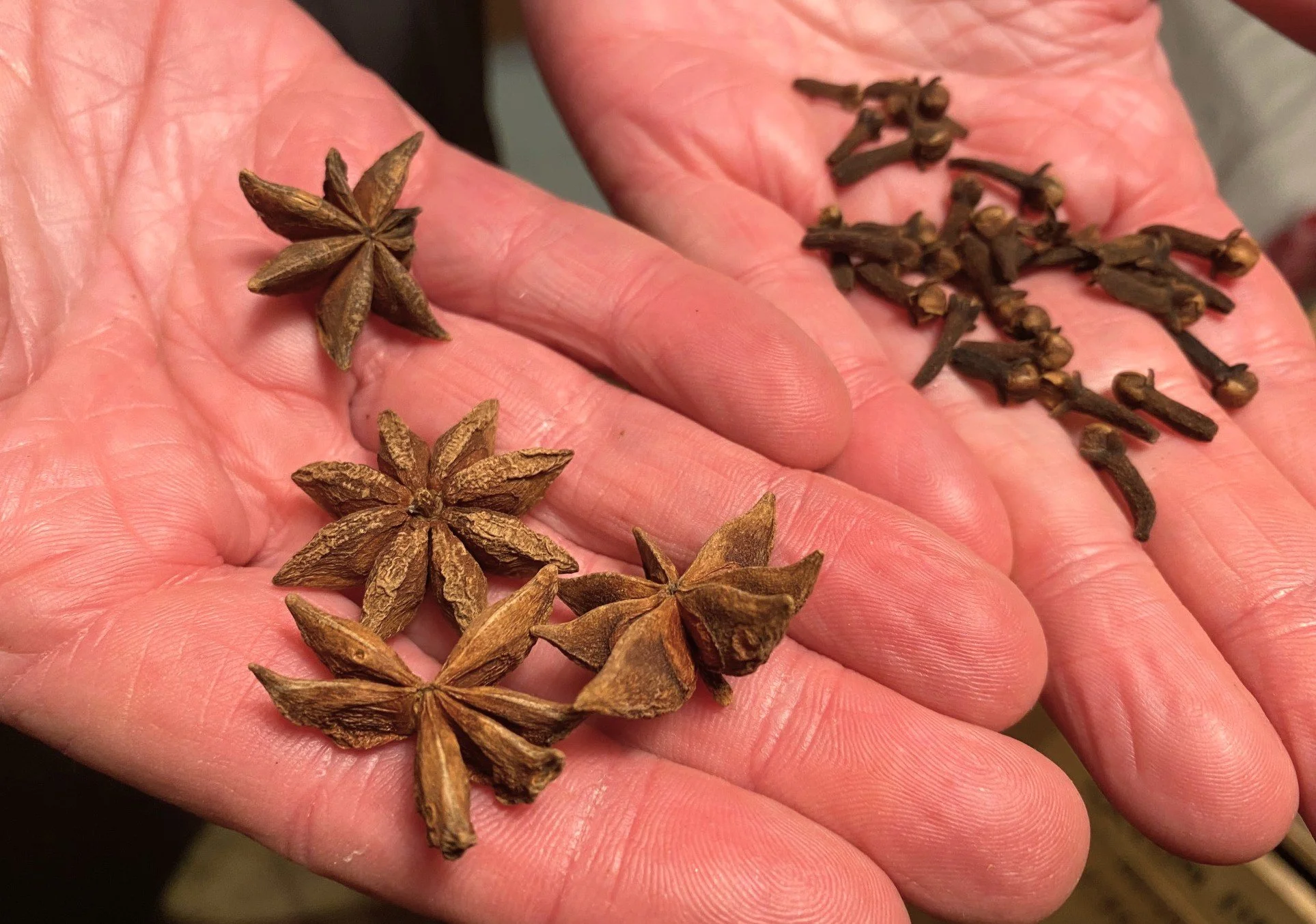 Anis_etoilé_Clous_girofle_chez_Sylvain.jpg