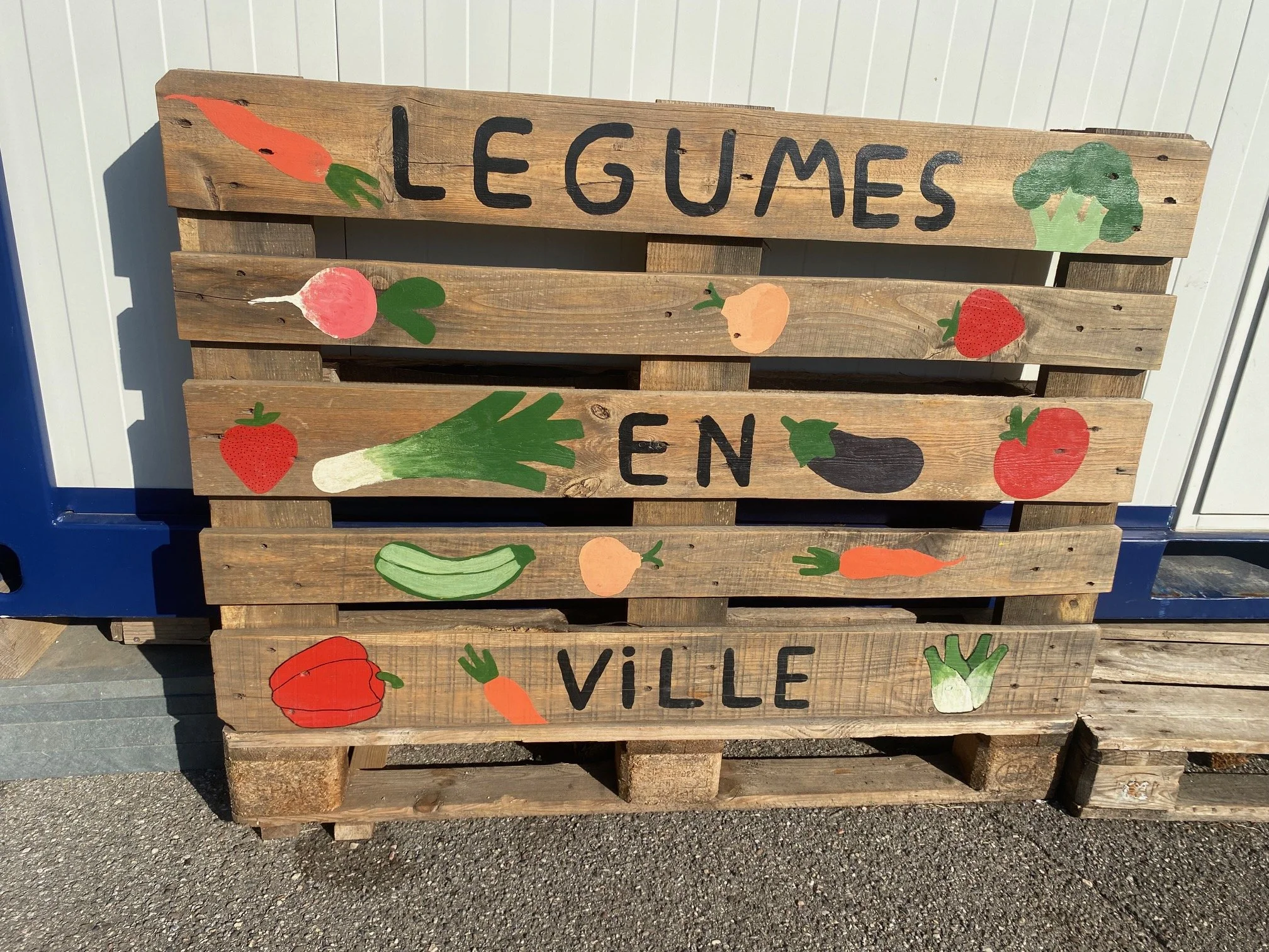 Potager en ville_3.jpg