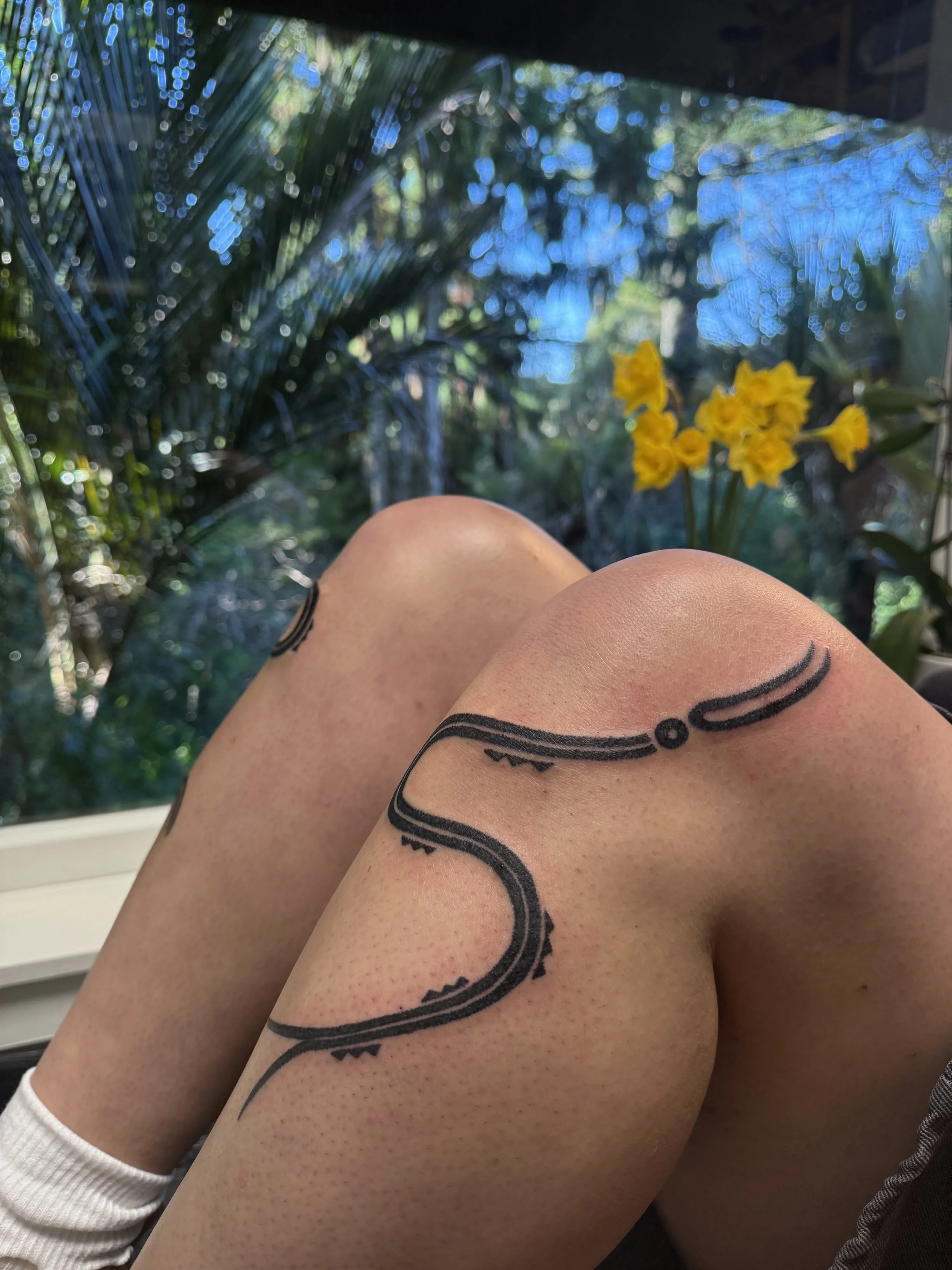 Moko kaitiaki