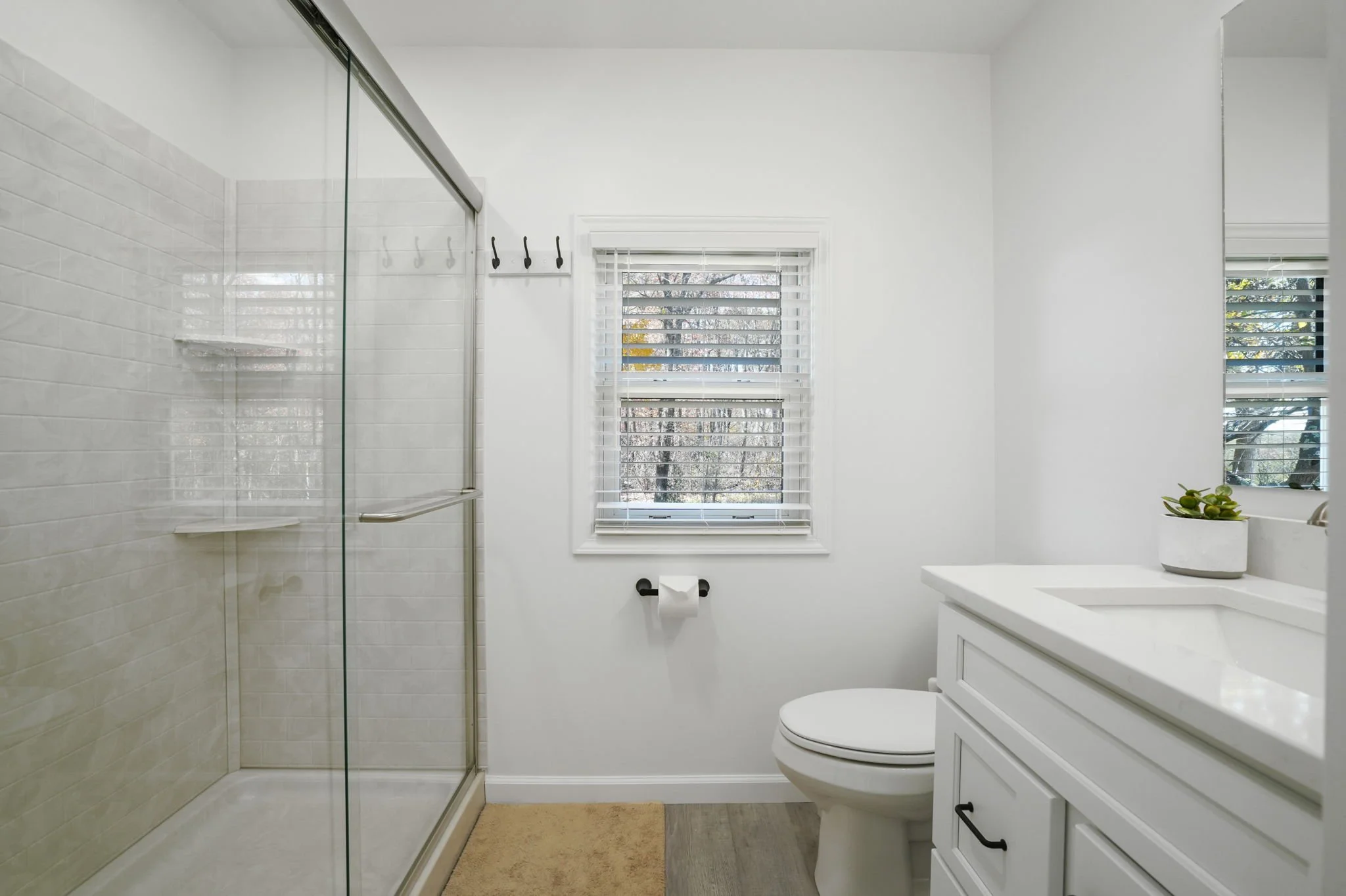 A clean, modern bathroom with a glass shower enclosure on the left, a white toilet in the center beneath a window with blinds, and a white vanity with a sink on the right. A small potted plant is on the vanity, and a beige rug is on the floor.