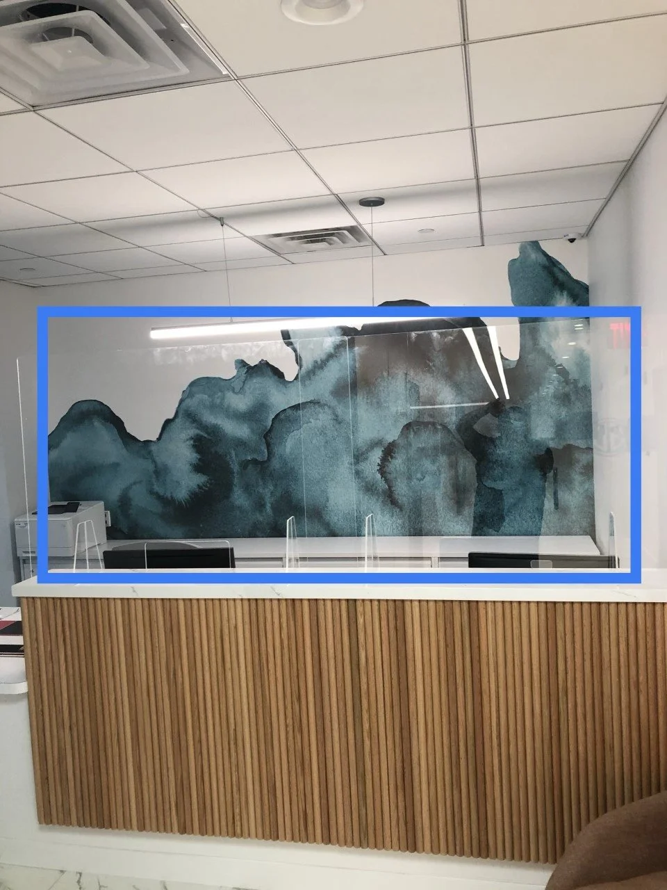 DE protective Screen.jpg