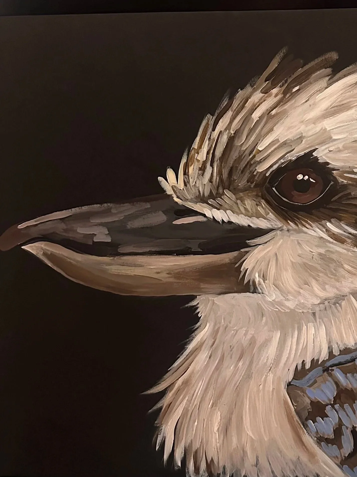 Cool as a Kookaburra