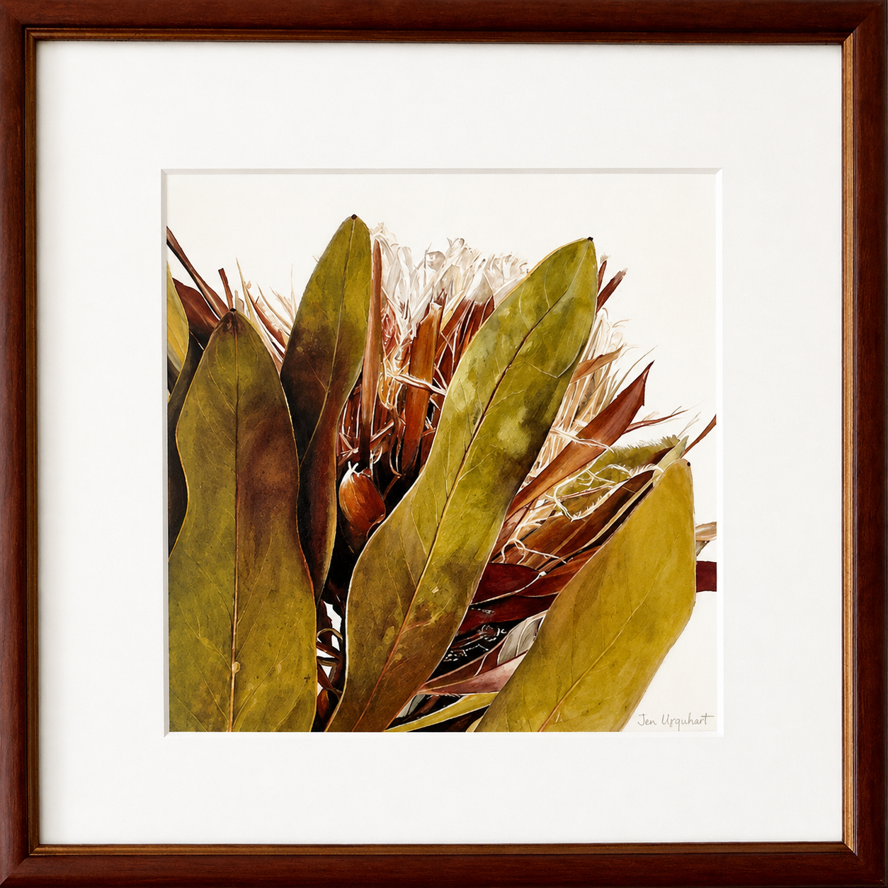 Dried Protea I