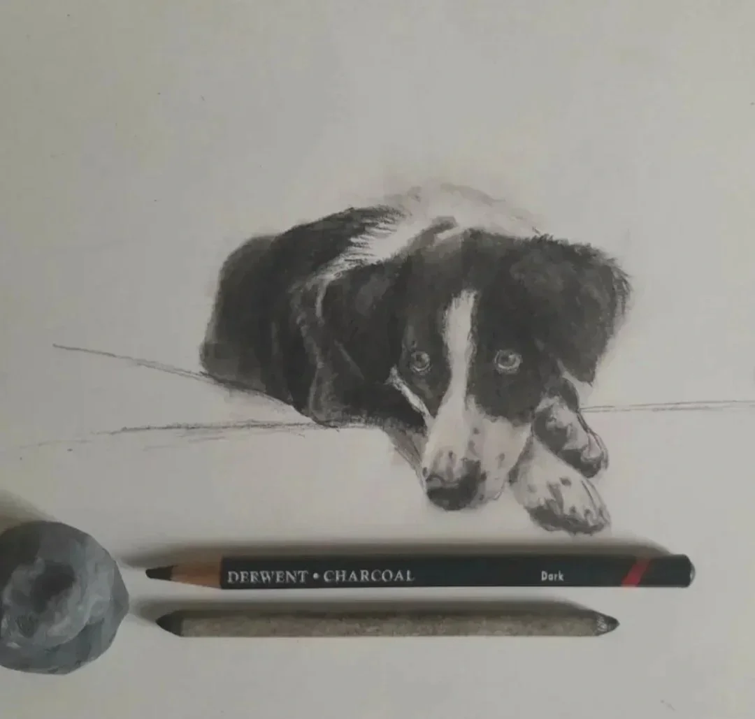 Dog Portraits