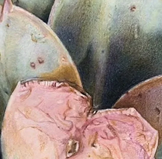 succulent1.jpg
