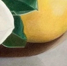 magnoliaand+lemon1.jpg