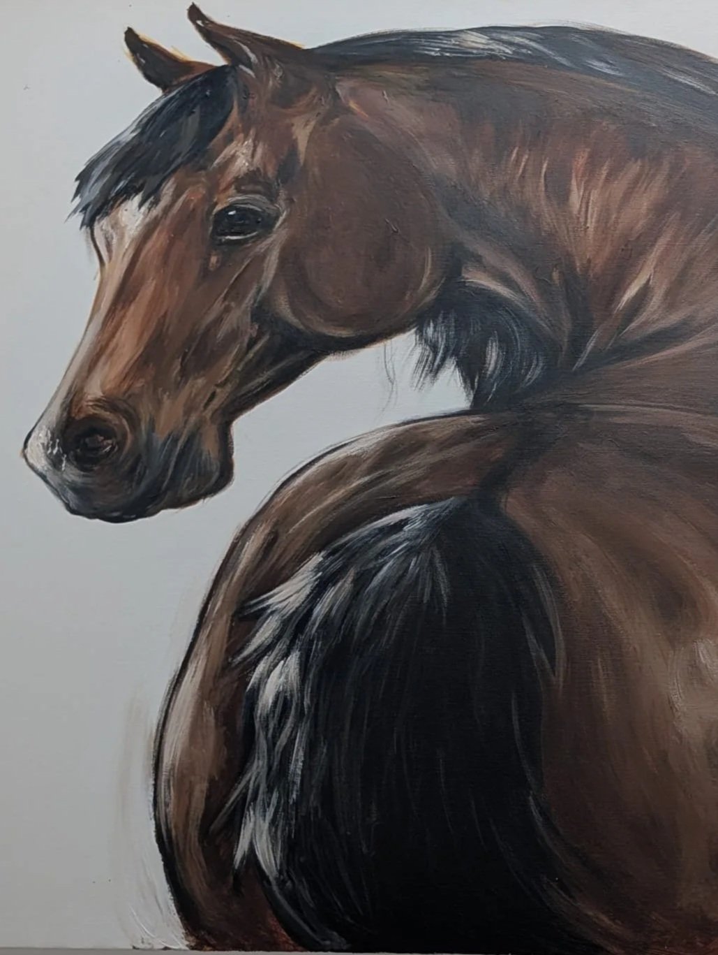 Hannah Horse hand drawn