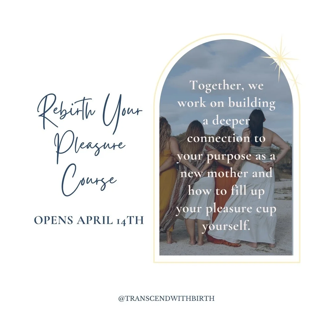 Rebirth Your Pleasure

Opens April 14th!

Together, we work on building a deeper connection to your purpose as a new mother and how to fill up your pleasure cup yourself. 

DM for details

#rebirthyourpleasure #selfhealing #postpartumdoula