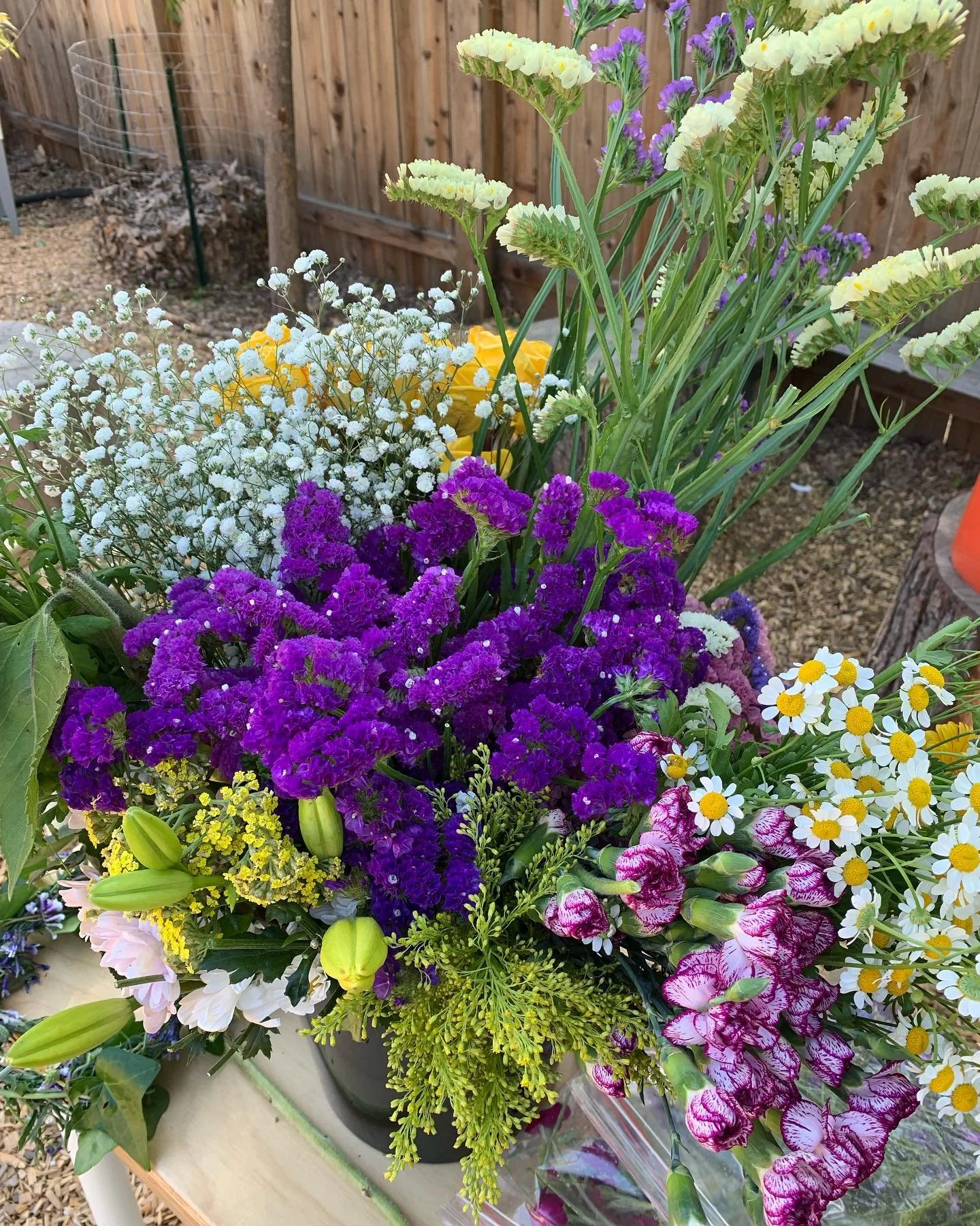 Daily gratitude keeps my heart open and allows miracles to happen ✨When I fall into fear I stop myself and connect to gratitude deep in my heart. This recharges my soul and connects me to the world best. How do you support yourself in this space?