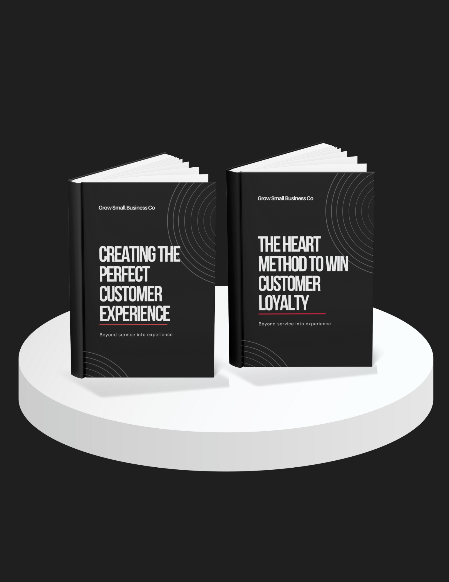 Customer Experience Mastery | The HEART Method & Experience Playbook