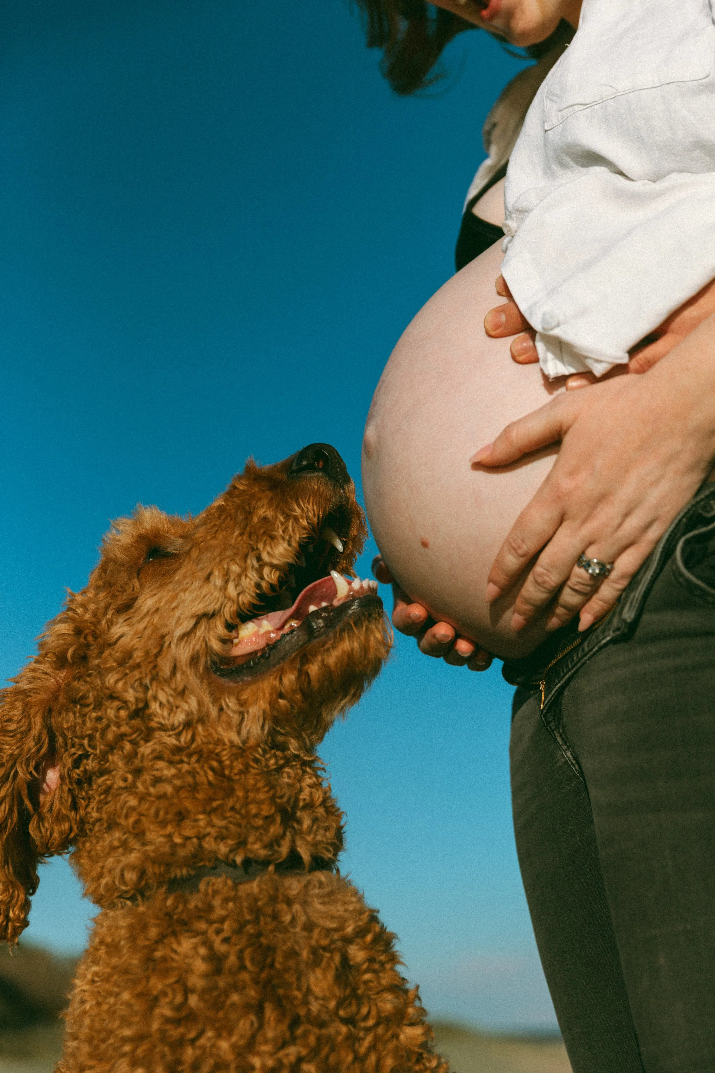 DarcySimpsonPhotography_Maternity_Taylor-89.jpg