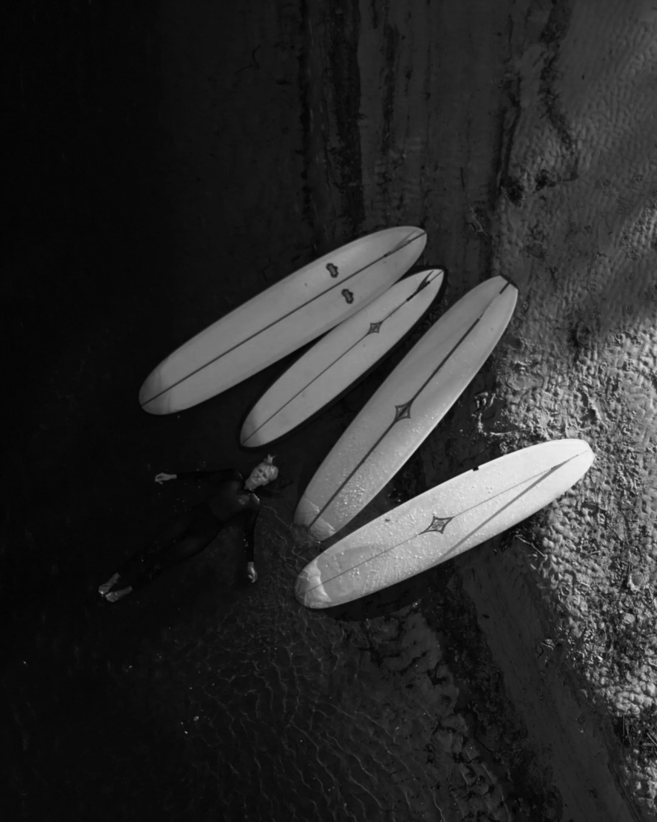 Interconnectedness Film