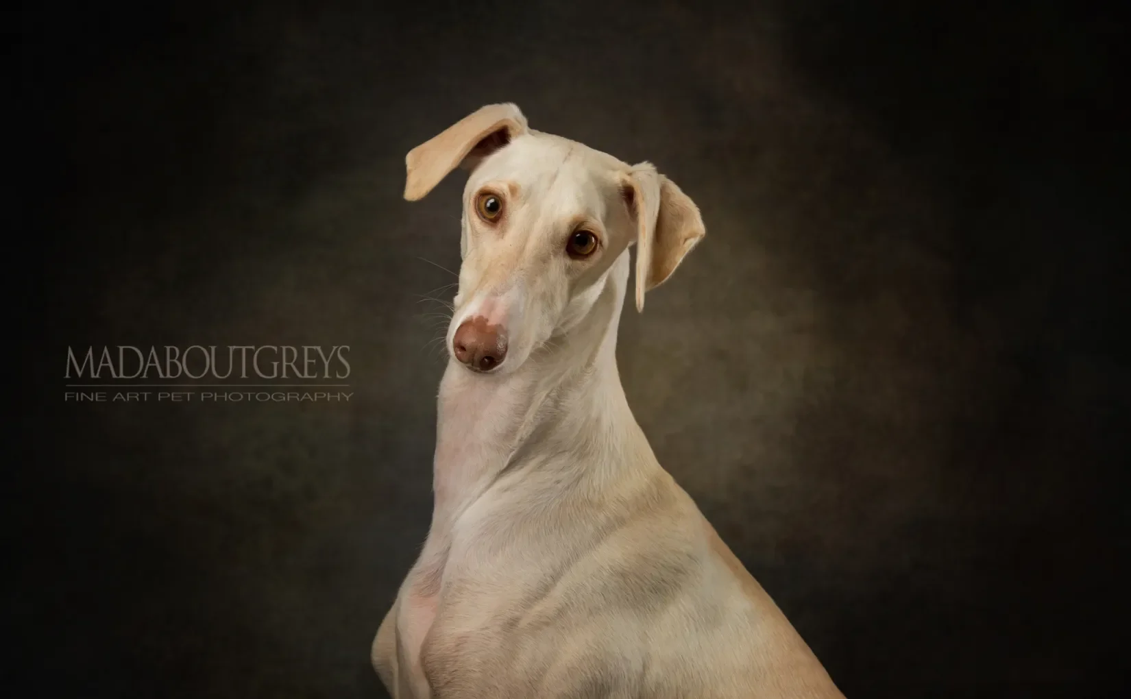 TILDA | Richmond Studio Photoshoot for a famous&nbsp;Galga