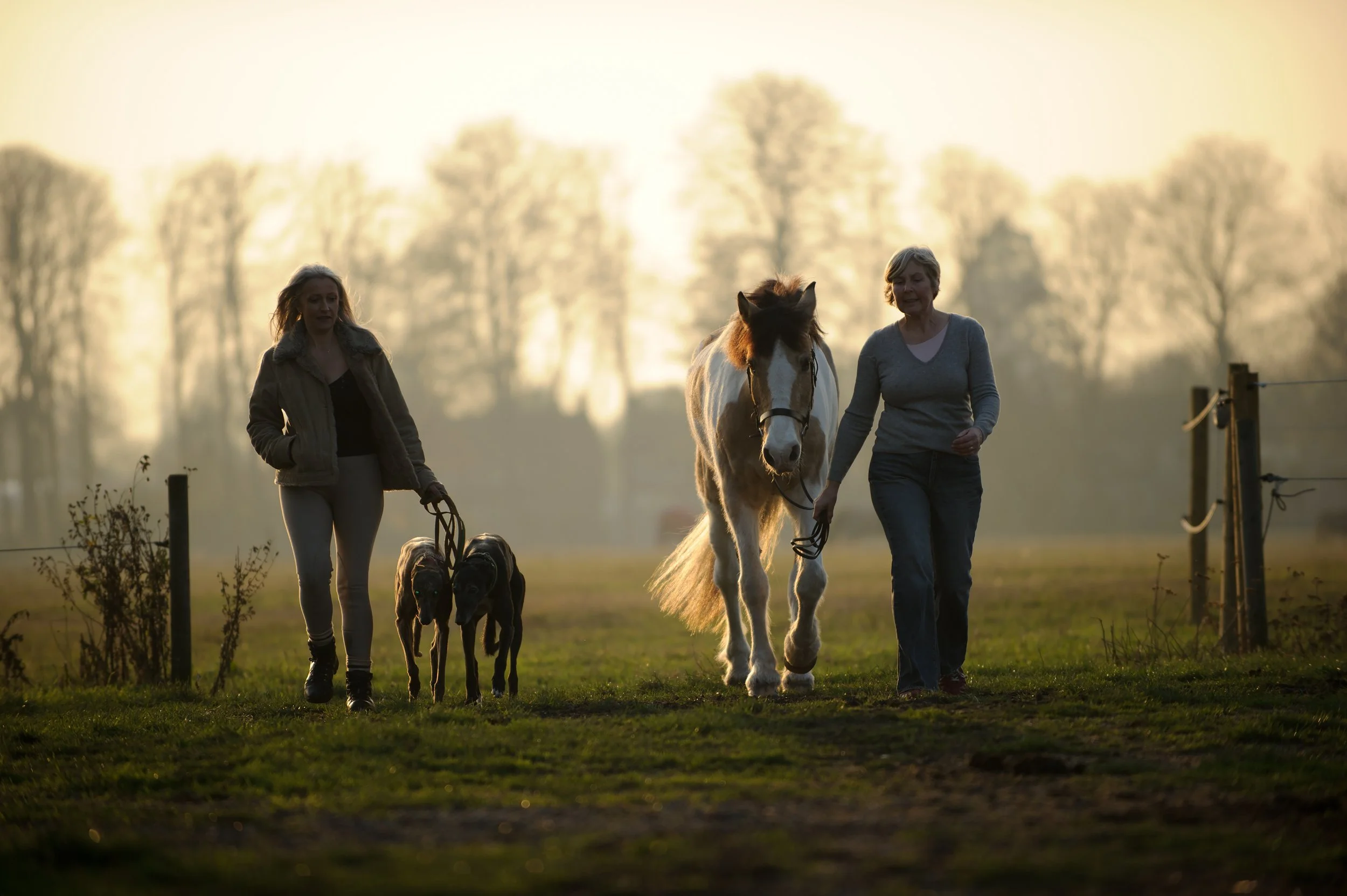 Lifestyle photoshoots for horse and owner in Surrey