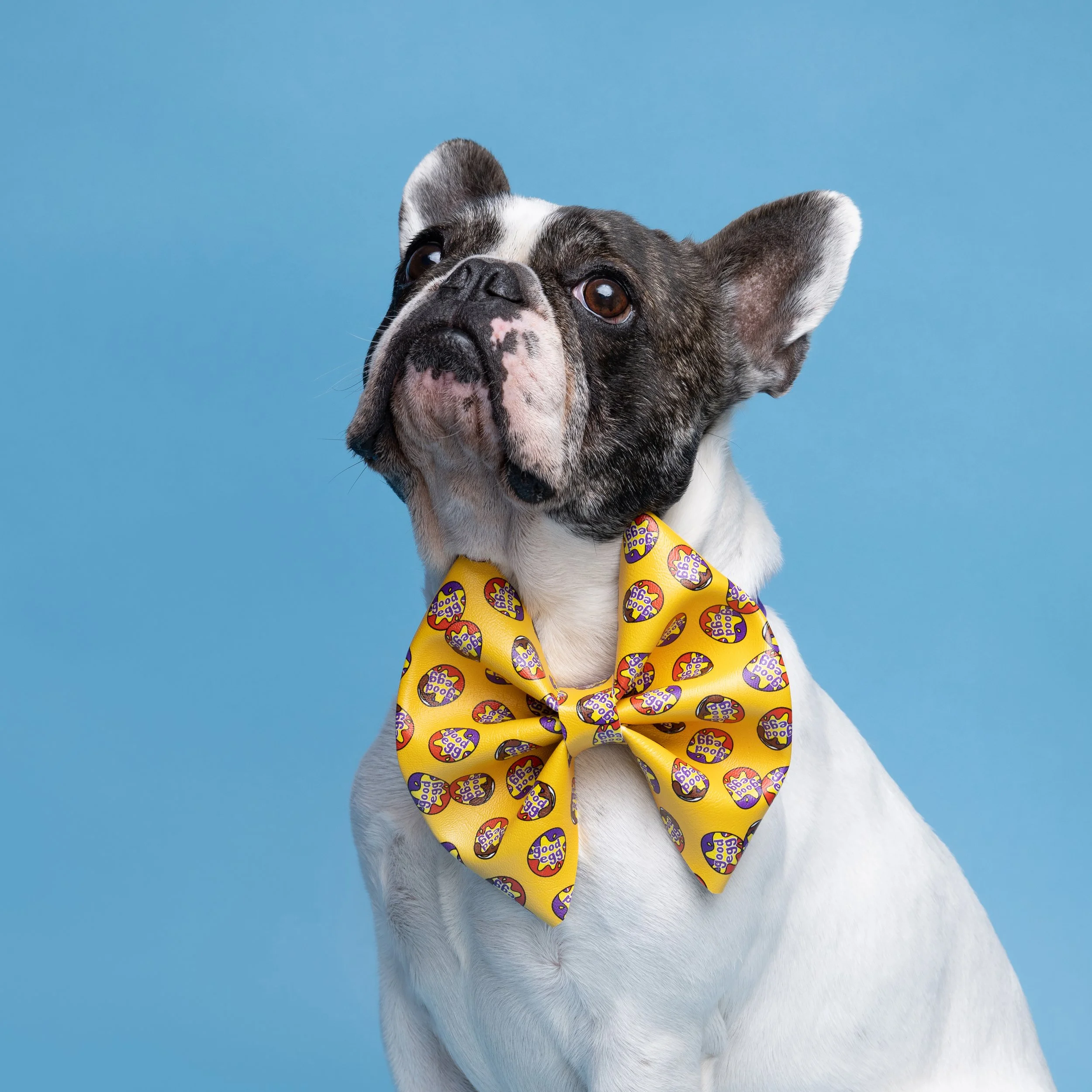 ZZ9_7603- PS copy.jpg