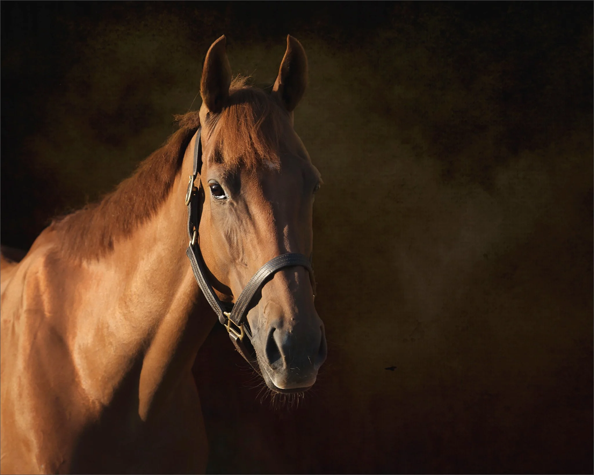 D4S_0807- PS mod website.jpg