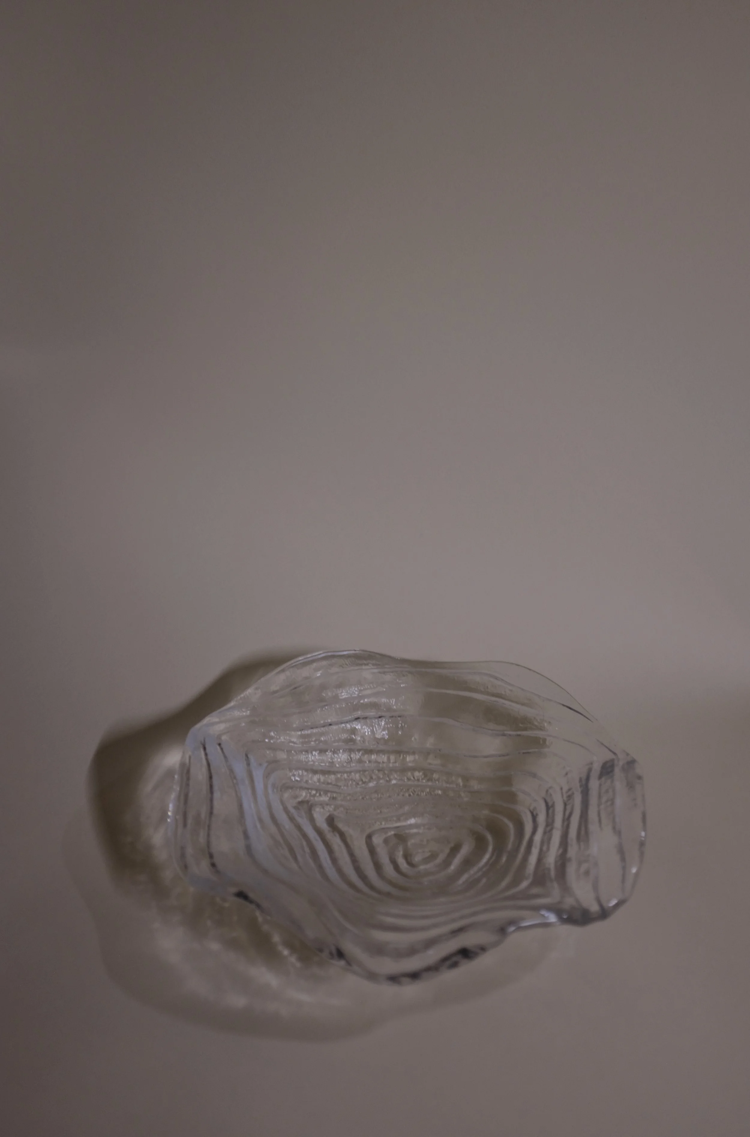 X1FA2147 copy.JPG