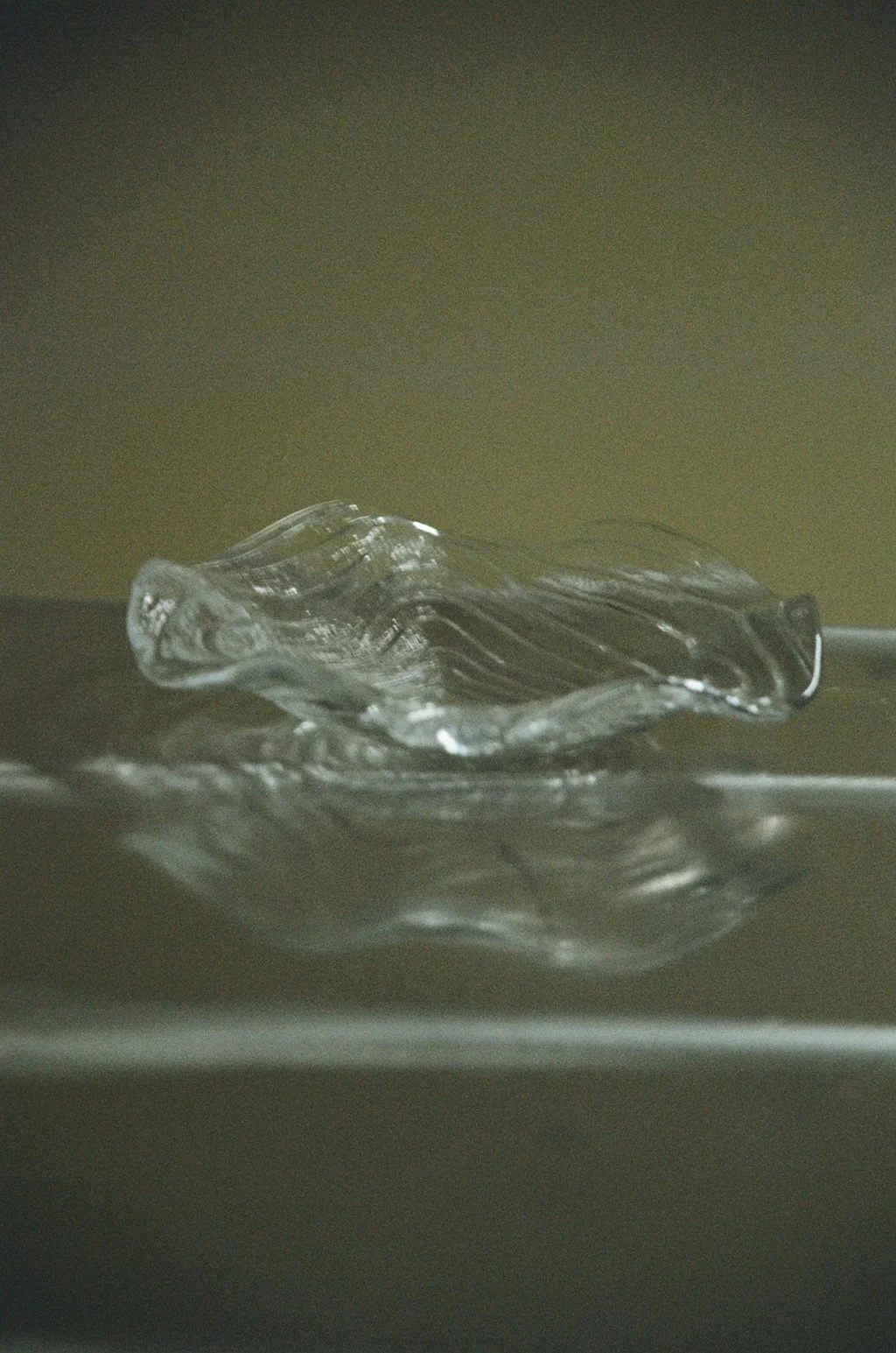 77900027.JPG
