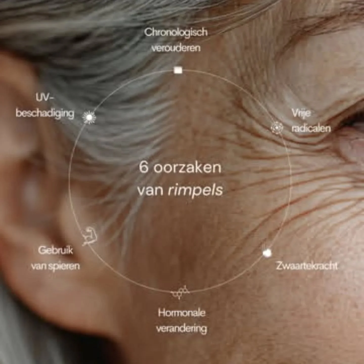 Rimpels ontstaan niet door &eacute;&eacute;n oorzaak, maar door alles wat het leven met je huid doet. ☀️

Zon. Stress. Mimiek. Hormonale veranderingen.
Na verloop van tijd nemen collageen en elastine af, vertraagt de celvernieuwing en verliest je hui