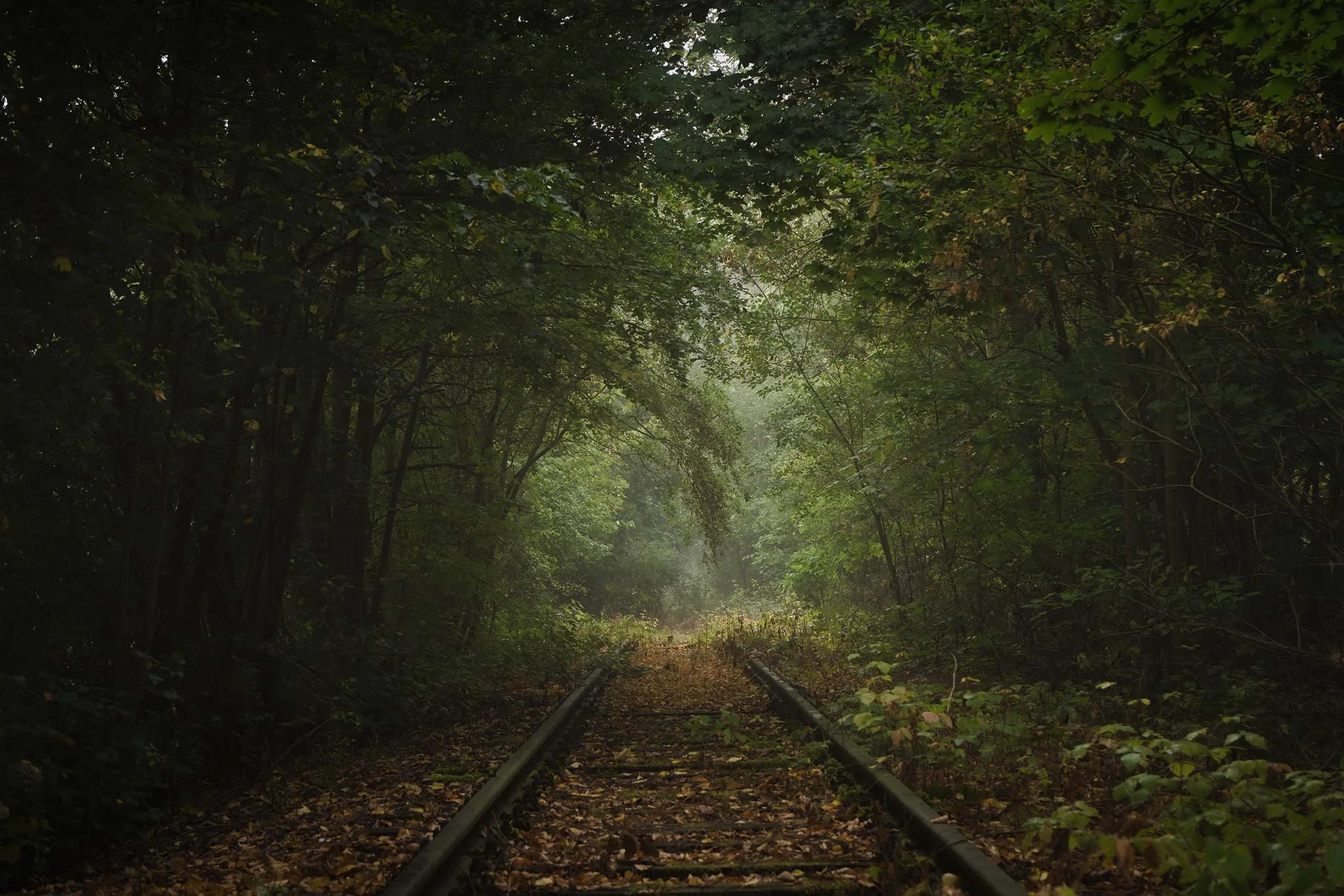 mlha_koleje_příroda.jpg