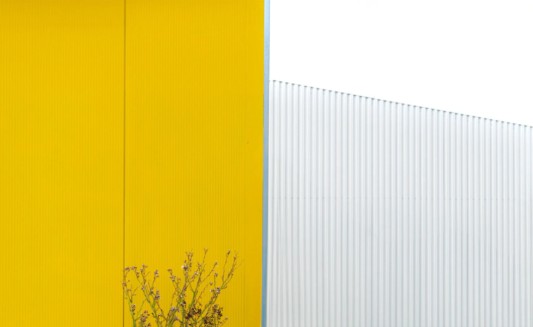 minimalismus_architektura.jpg