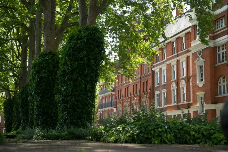 Residential brick apartment buildings seen through lush green trees and shrubs in a city neighborhood.