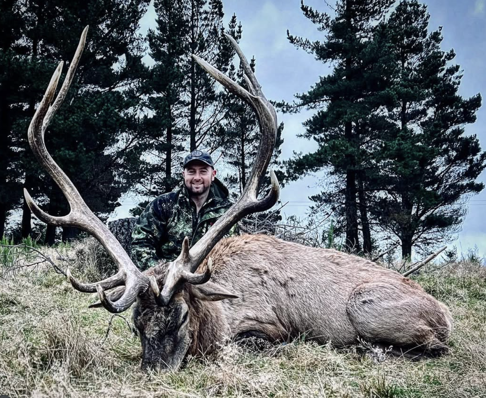 Screen Shot 2025-08-14 at 2.45.44 PM.png