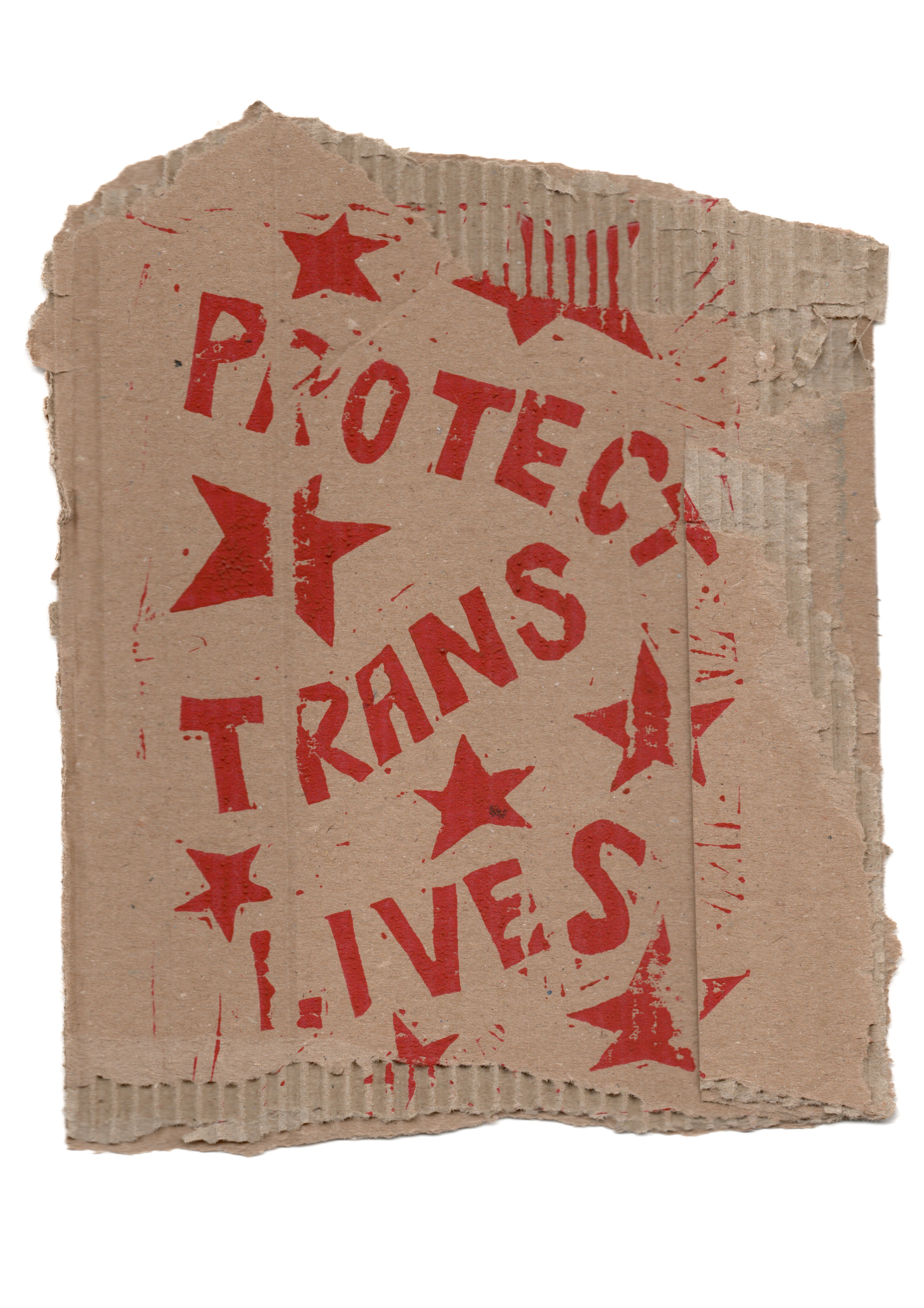 Protect trans lives lino