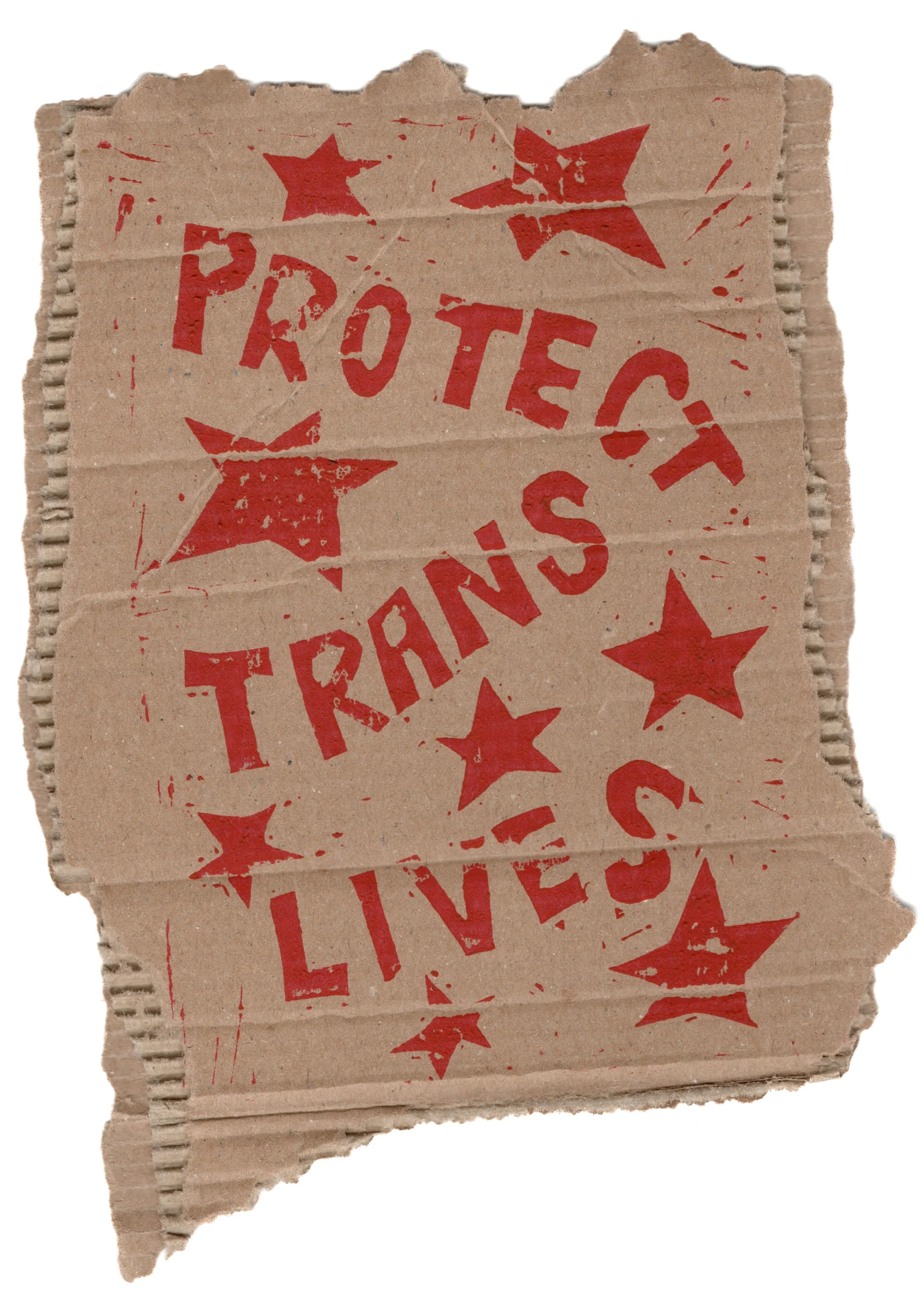 protect2.jpg