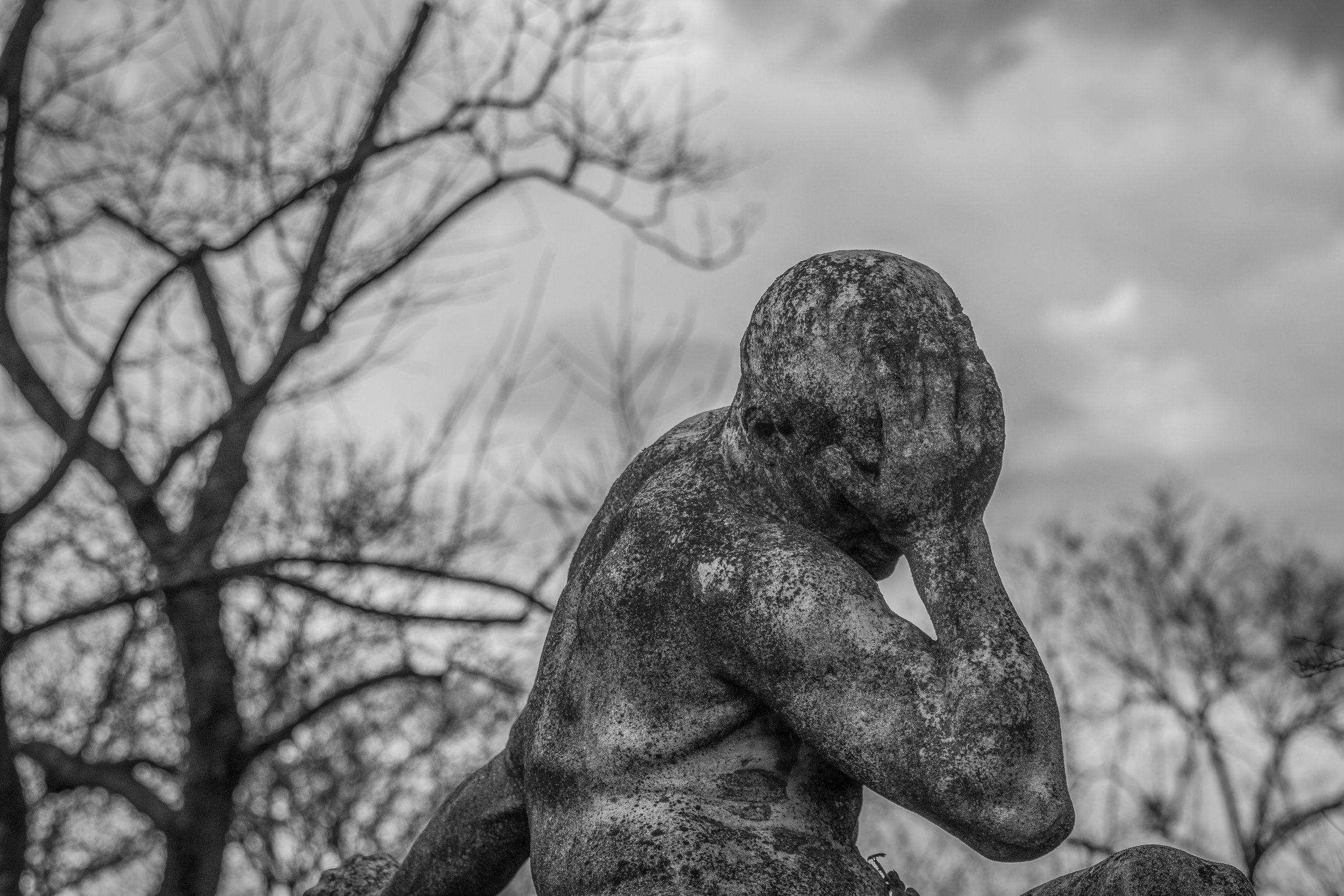 IMG_9718ba aabasic.jpg