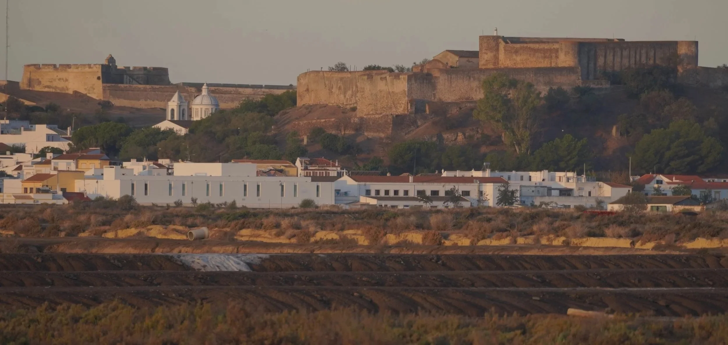 After the Storm: A Salty Tale of Resilience