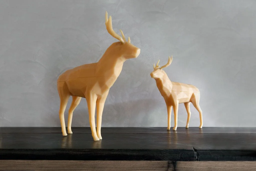 I due papà di Bambi