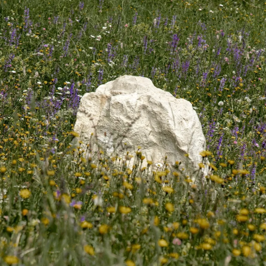 Discovering SMACH. Val dl'Ert - Guided Tour