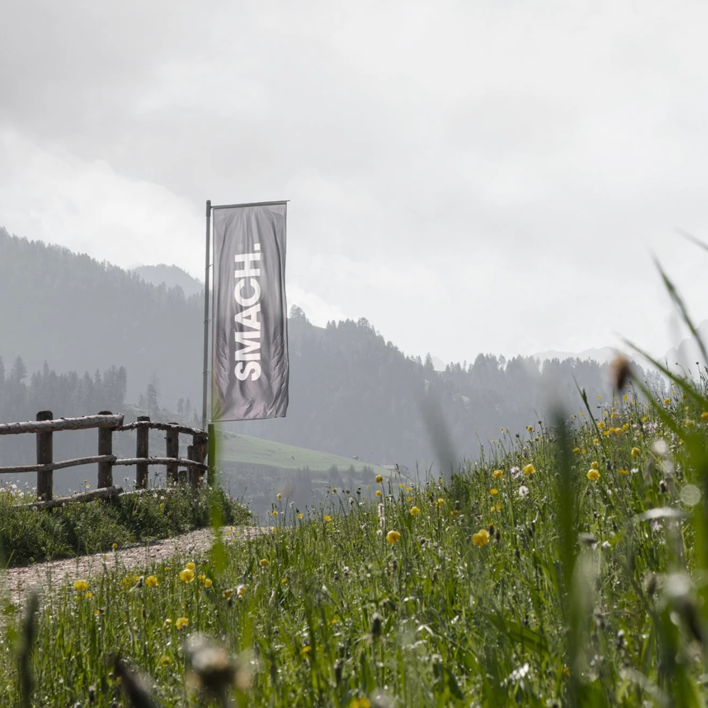 Discovering SMACH. Val dl'Ert - Guided Tour