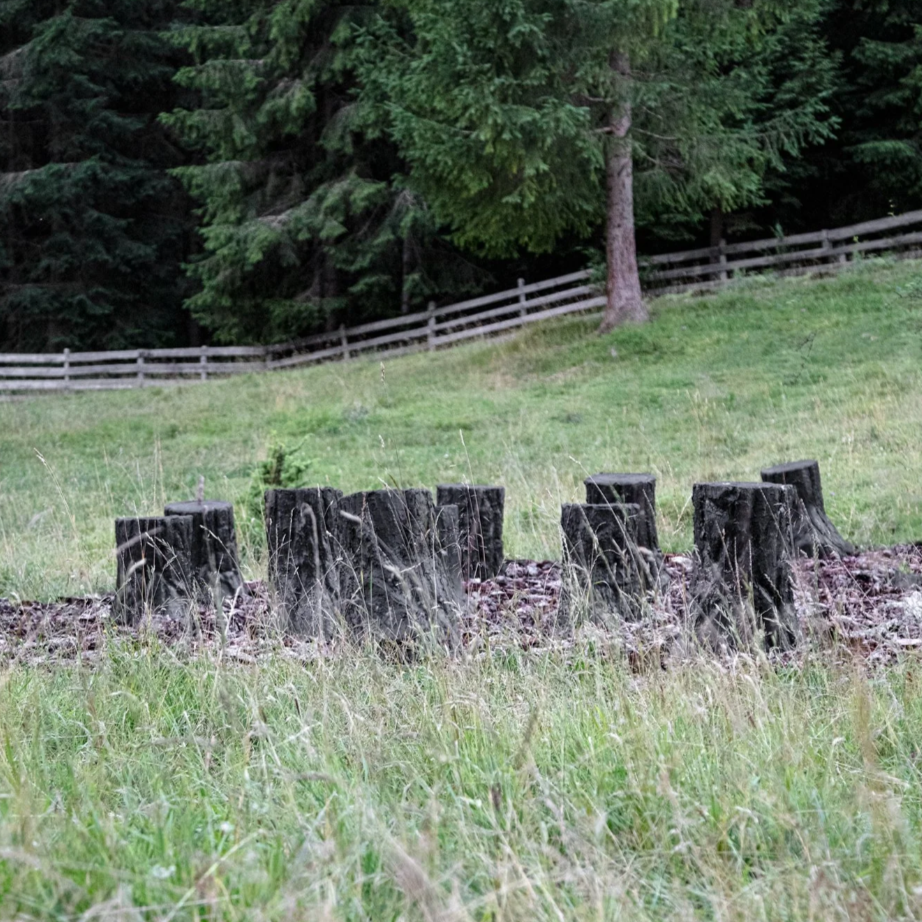 Discovering SMACH. Val dl'Ert - Guided Tour