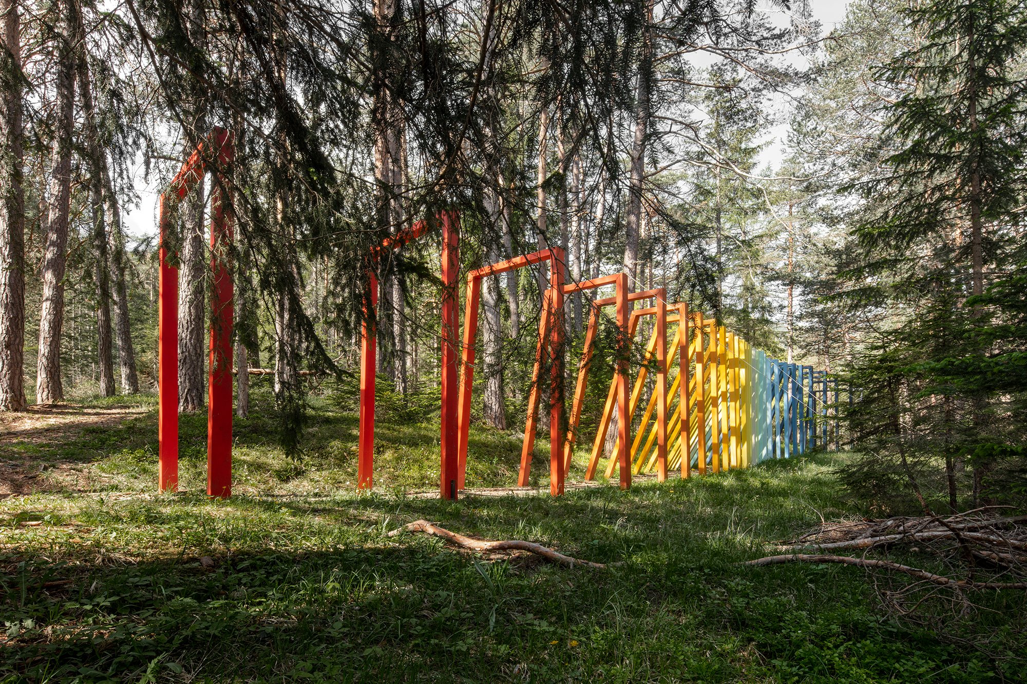 A long line of rectangular frames, painted in a rainbow gradient from red to blue, creates a pathway through the trees of a dense pine forest.