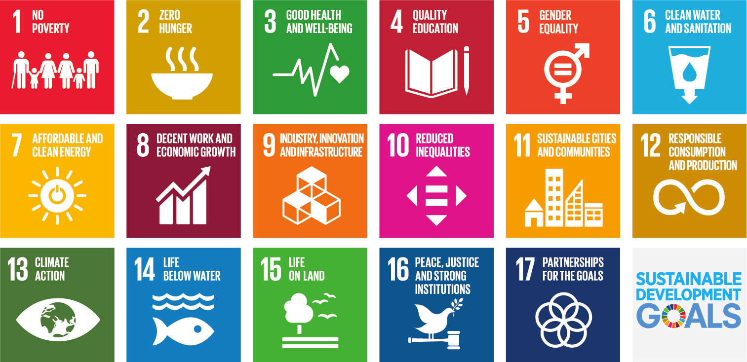 17 Sustainable Development Goals